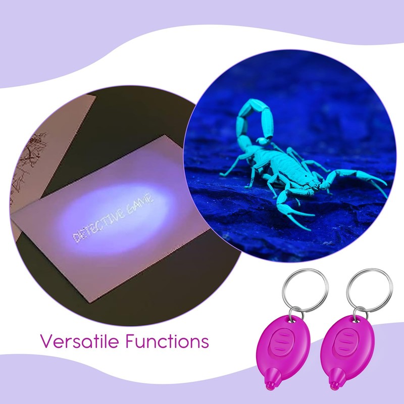 VIHOSE 100 Pcs UV Keychain Light 395nm Mini UV Keychain