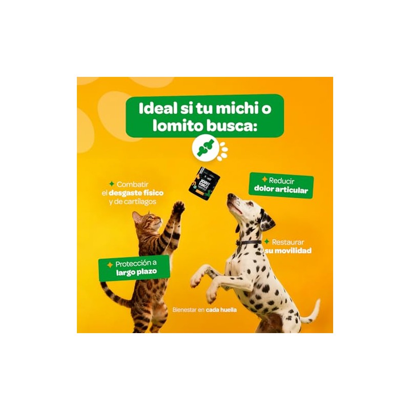 B Life Pets Joint Force para Perros y Gatos 370