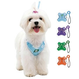 SAN KARA Arnés para Perros y Gatos Pequeños con Correa 1.5 m, Arnés Tipo Chaleco Transpirable de Malla, Diseño Deportivo con Estampado de Pelotas, Aju
