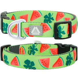 JC HOUSE Small Dog Collar with Reflective Logo and Soft Padded Neoprene,Summer Watermelon Design, Adjustable,Lightweight & Durable, Neck Size 9’’-14’’ (Watermelon, S)