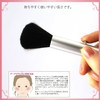 Shishida Seishindo Cheek Brush, Slide, Silver