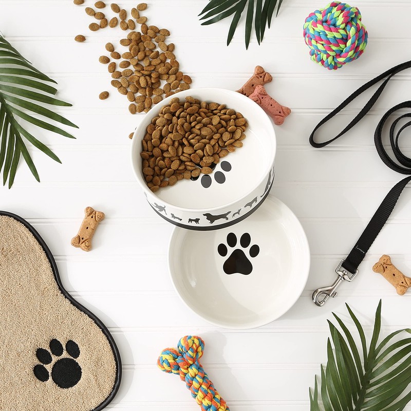 Bone Dry Dog Bone Ceramic Pet Bowl & Canister, Large,