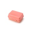 Miyoshi Seisakujyo 0101-0186 GEL-COOL Lunch Box, Integrated Ice Pack, Macaron