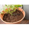 Royal Gardineer Watering System: Automatic Holiday Watering System for 10 House