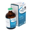 CEVA VITAMIN B1 INJECTION 100ML