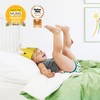 Bambino Mio, Reusable Potty Training Pants for Boys and Girls,