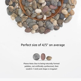 5 lbs Small River Stones 0.5-1 Inch Natural Water-Washed Pebbles for Aquarium Decor, Bonsai Trees, and Pathway Design. Perfect for Garden Beds,Terrariums, and Adding a Natural Touch to Home Decor