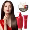 Tsubaki Premium Moist & Repair Shampoo + Treatment / 츠바키 프리미엄 모이스트 앤 리페어 샴푸 + 트리트먼트