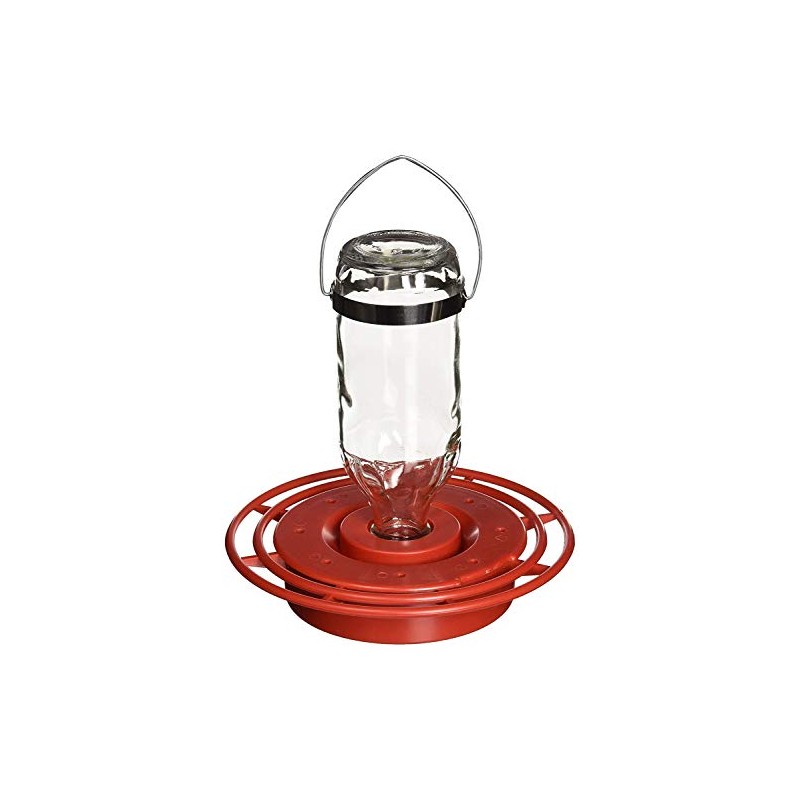 Birds Choice Best-1 16oz. Hummingbird Feeder (Pack of 3)