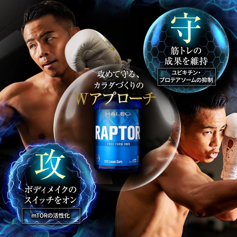 HALEO HMB RAPTOR HMB-FA Next Generation Liquid Type, Alpha GPC,