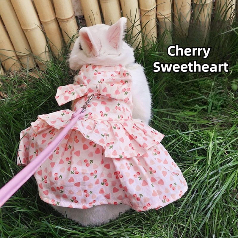 Rabbit Leash and Harness Set Adjustable Bunny Dress Clothes Outfit