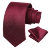 HISDERN Ties for Men Polka Dot Classic Handkerchief Formal Elegant