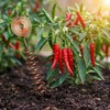 3 Pack Electroculture Copper Gardening Antenna Kit Rods for Garden