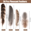 50 Pcs 4 Styles Natural Feathers for Crafting, Brown Pheasant