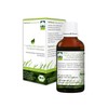 Wellnest Bertrand Heidelberger Herbal Power 100 ml No Artificial Colours