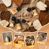 Bakery Essential Oils Gift Set, SNOWSEN Dessert Fragrance Oils for