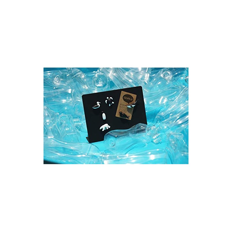 QUALY Save The Ocean Magnets Set of 6 Sea Animals