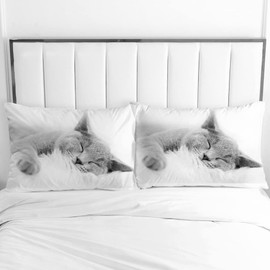 AOXHFNV Cute Cat Duvet Cover 3D Cat Motif 3-Piece Bedding Set Suitable for Children Bedding Set 135 x 200 cm with 2 Pillowcases (135 x 200 cm, Grey)