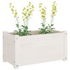 Gecheer Garden Planters 2 pcs White 23.6"x12.2"x12.2" Solid Wood Pine