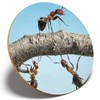 1 x Ant Team Building Together - Round Coaster Kitchen
