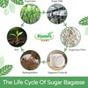 Disposable Paper Plates Extra Strength White Super Rigid Bagasse Plates