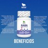NATSA Gaba 60 cápsulas, calidad Premium