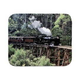 CafePress Old Narrow Gauge Steam Train On Trestle Bridge She Sherpa Fleece Throw Blanket 60" L x 50" W