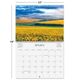 Current 2026 Sunflowers Wall Calendar, 12-Inch x 9-Inch Size Closed, 18-Inch Size Open, Large Bookstore-Quality, Spiral-Bound Hanging Monthly Wall Calendars for Kitchen & Office