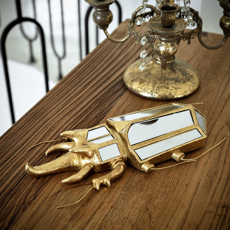 Xinleitan Decorative Bug and Dragonfly Mirrors - Gold Resin and