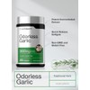 Horb Ach Odorless Garlic Softgels 200 Count Ultra Potent Extract