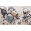 Troyarn Cotton 60% Cotton 40% Acrylic Yarn, Soft, Fine/Sport (2)