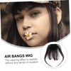 FRCOLOR Clip in Hair Bangs Extensions 100% Real Human Hair