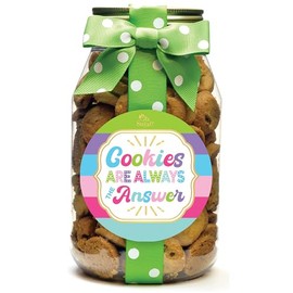 Nam's Bits Chocolate Chip Cookies - Yummy Cookies Quart Jar - CCA