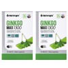 ANGET ORIGIN Enget Origin Ginkgo Max 1300 Ginkgo Leaf Extract