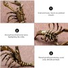 Kisangel Brass Lobster Figurine Feng Shui Statue Wealth Good Luck