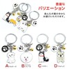 KOYOKOMA Dog Keychain Paw Ring Dog Key Ring Charm Maltese