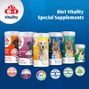 8in1 - Vitality - Glucosamin für ausgewachsene und ältere Hunde