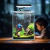 iPriro Ultra White Glass Betta Aquarium Starter Kits 1.5 Gallon