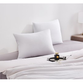 Arianaut White Pillow Cases Set of 2 Brushed Microfiber Soft Cooling Pillow Cases Queen Size Set of 2 Light Weight Hypoallergenic Pillow Cases with Envelope Closure 20x30 Inches White