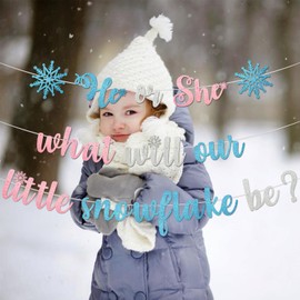 Snowflake Gender Reveal Banner - Winter Wonderland Decorations