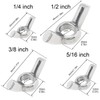DiGiYes 50PCS 1/4"-20 Wing Nuts, 304 Stainless Steel Parts Hand