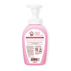Arau Baby Unscented Foam Bottle Wash | Dish Soap Safe for Newborns Is Additive, Allergen & Dye Free - 17 fl oz (pack of 1)