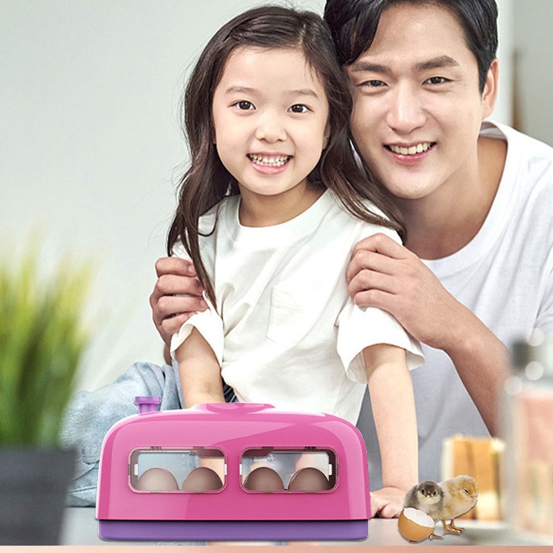 Egg Incubator Manual Turning Mini Train Eggs Hatching Machine with