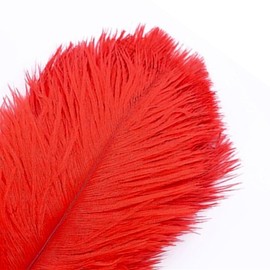 10Pcs Bulk Natural Red Ostrich Feathers,10-12 inch (25-30cm) Beautiful Long Feather for Crafts,Wedding Centerpieces Party Home Decoration,Dress and Christmas DIY (Red, 10-12in)