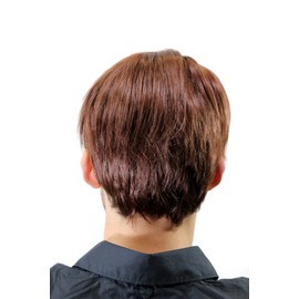 WIG ME UP - GFW964-33 Men's Wig Men Short Teen Casual Fashion Brown Red Brown Men Wig Toupee
