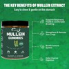 EOCUTE Mullein Gummies 9-in-1 Supplement with Quercetin, Bromelain, Elderberry &