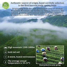 XIXICHA Alishan Oolong Tea Loose Leaf Grade AAA Taiwan High Mountain Gaoshan Ulong Tea Taiwan Tea Taiwanese Green Oolong Tea Floral and Fruity Aroma 5.29oz/150g