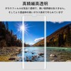 Galaxy S9 Plus Film [3 Sheets] UV Fully Adsorbed Glass
