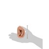 3B Scientific 3B Ear set, one left and right ear