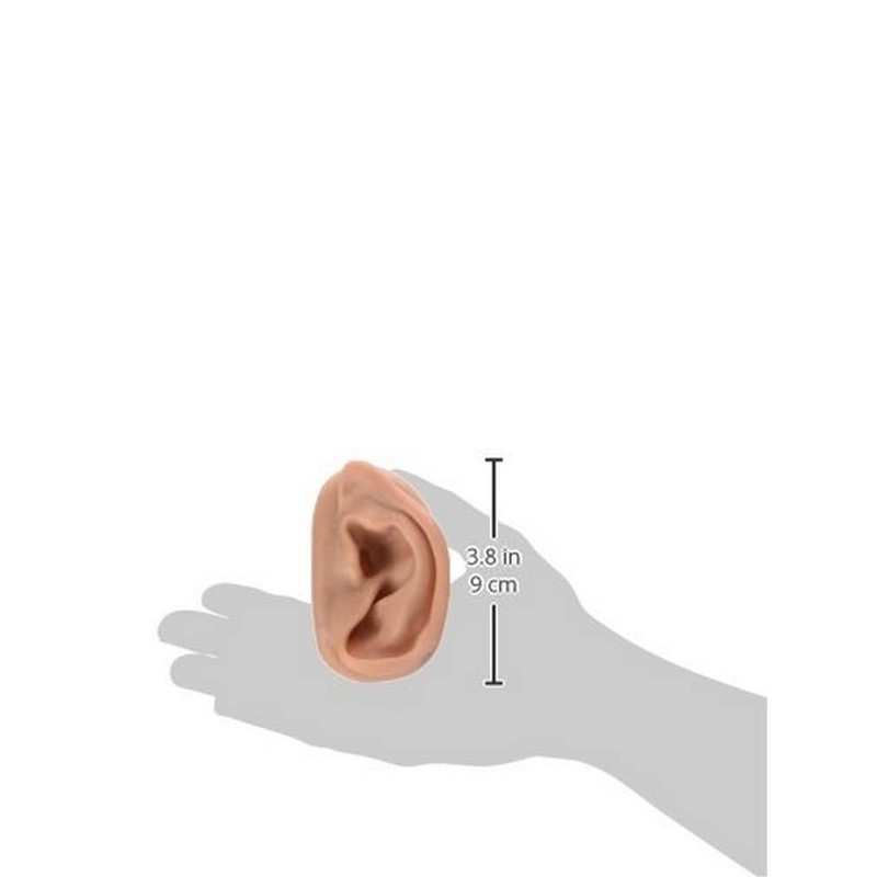 3B Scientific 3B Ear set, one left and right ear